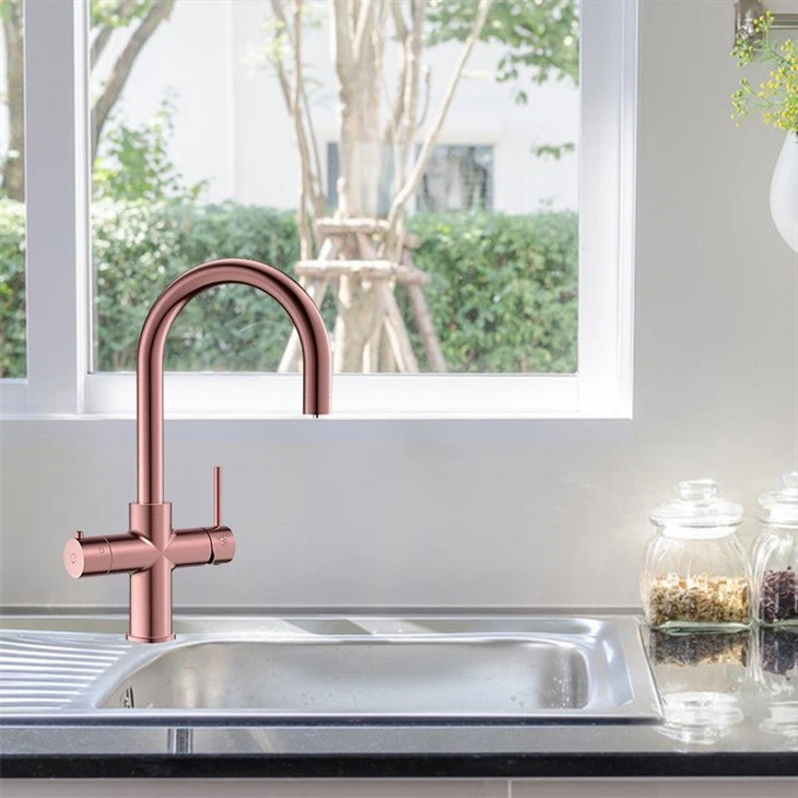 Kitchen Tap with Sparkling Water